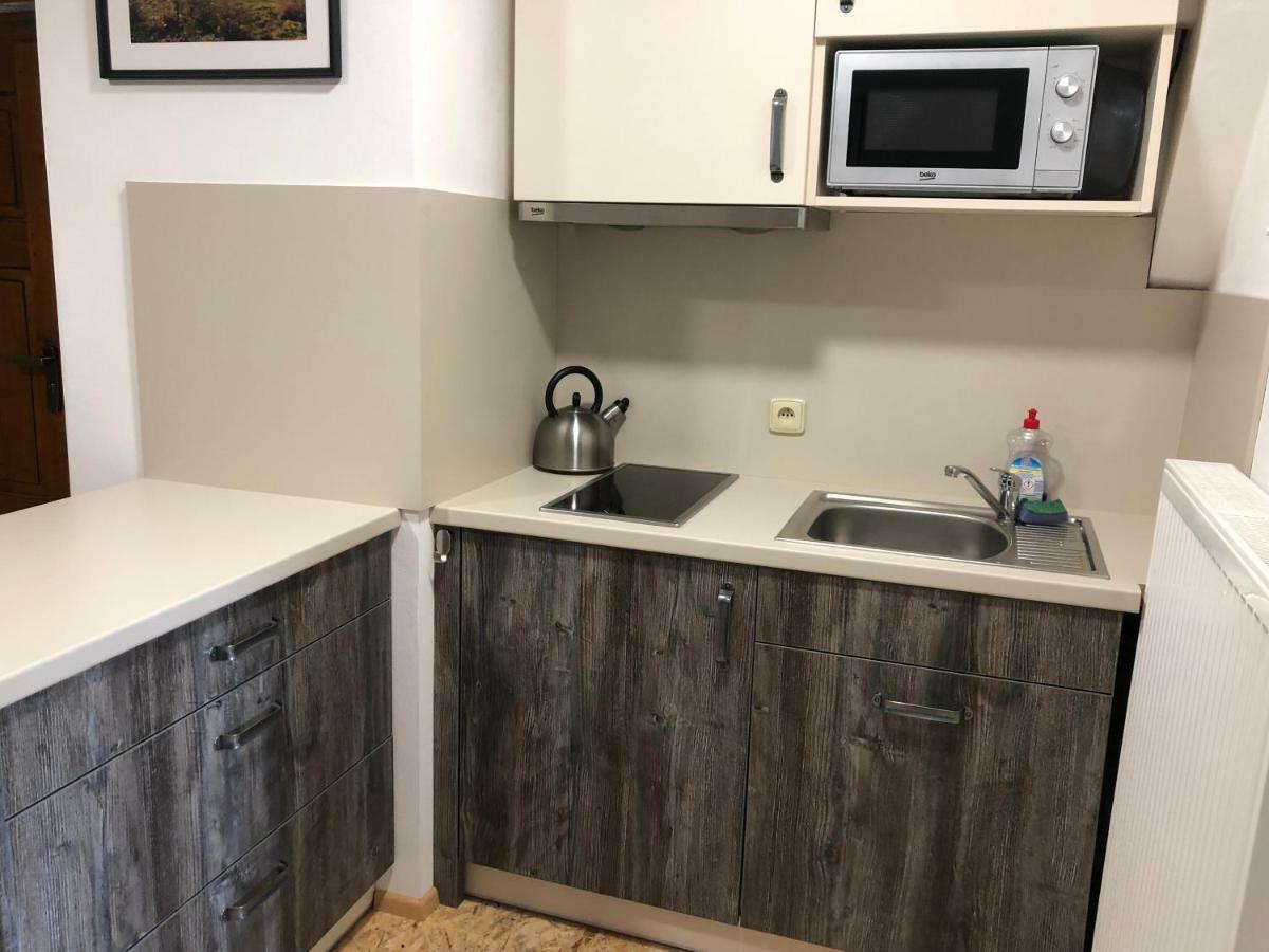 Apartment Obzor Zelezna Ruda